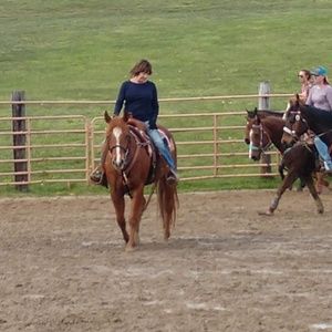 Meet your Posher, Katy